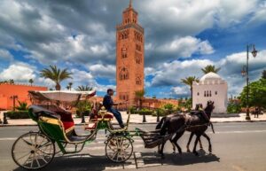 New Discovering Marrakech: A Journey Through the Red City